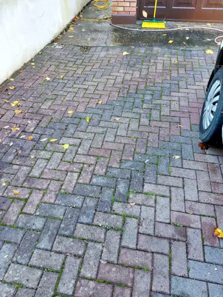 Block paving driveway with moss in the joints
