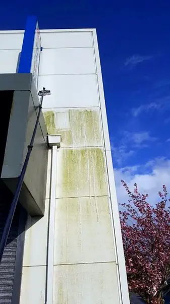 Green algae streaks running down a building’s cladding
