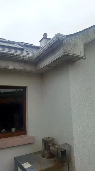 Fascia and soffit stained grey and green before cleaning