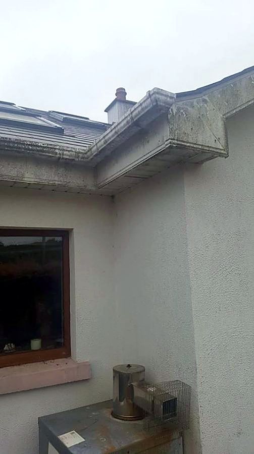 Fascia and soffit stained grey and green before cleaning