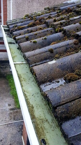 Gutter full of moss and debris before cleaning