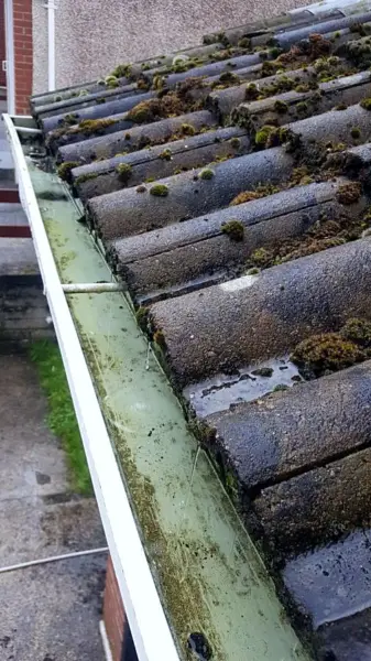 Gutter full of moss and debris before cleaning