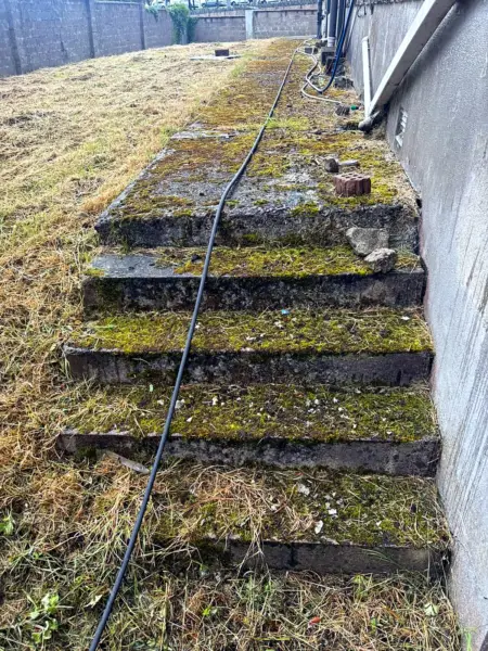 Concrete steps covered in moss before cleaning