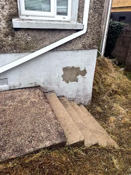 Concrete steps clean after the moss was removed